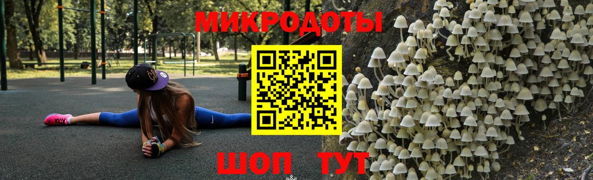 Галлюциногенные грибы прущие грибы  Вход с VPN  Свободный 